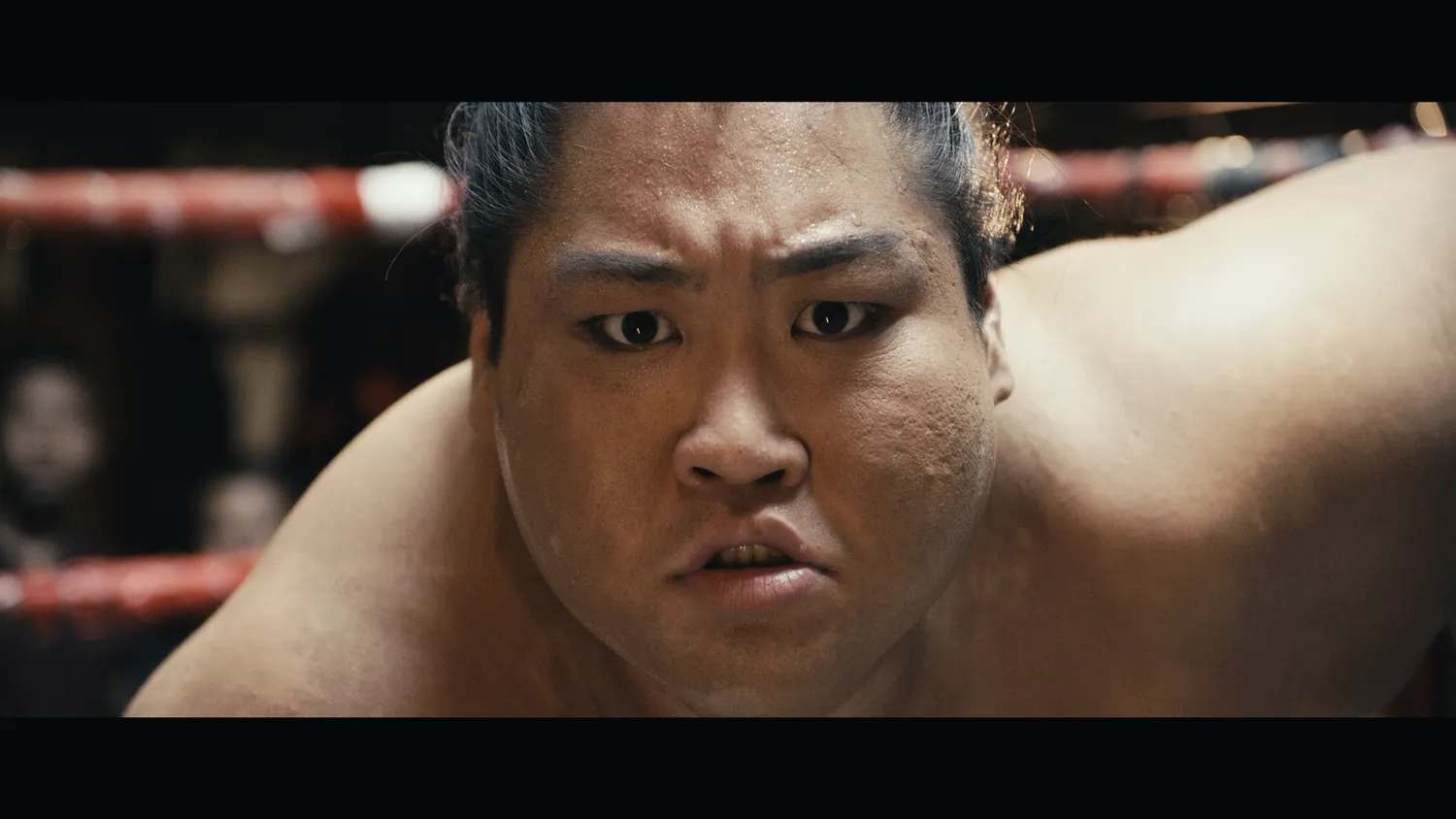Vista Prime Neil Fernandez Sumo 